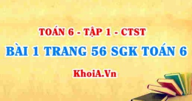 Bài 1 trang 56 SGK Toán 6 Chân trời sáng tạo Tập 1
